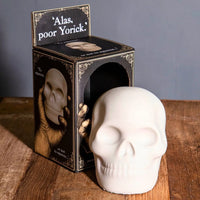 Alas, Poor Yorick Skull