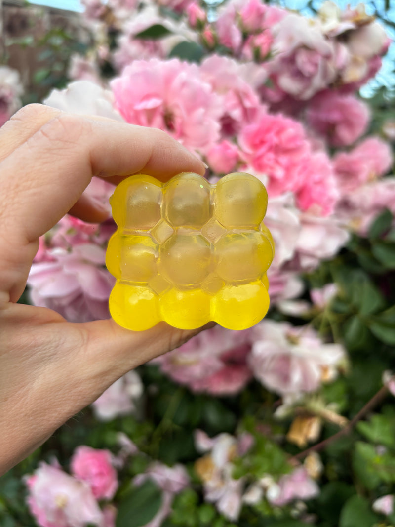 Solid Colour Bubble Cube