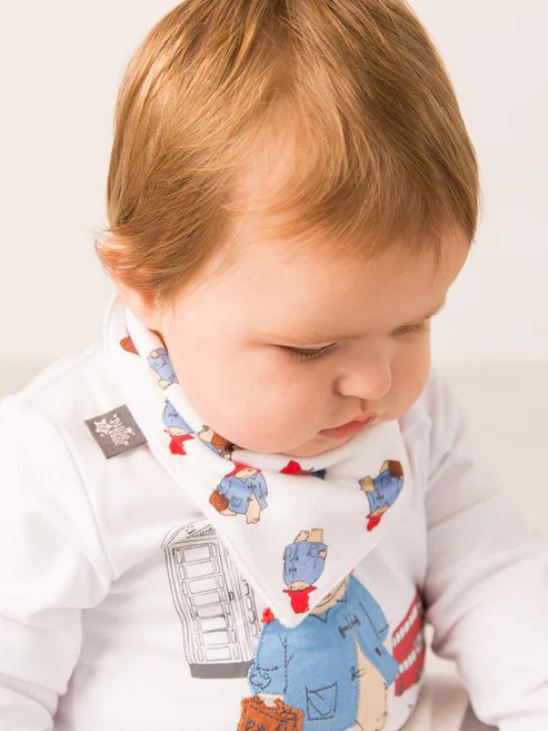 Paddington Loves to Travel Bib