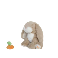 Binky Bunny Hop
