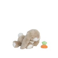 Binky Bunny Hop