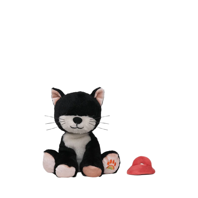 Binky Kitten Kit
