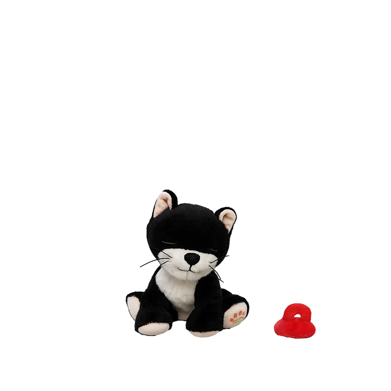 Binky Kitten Kit