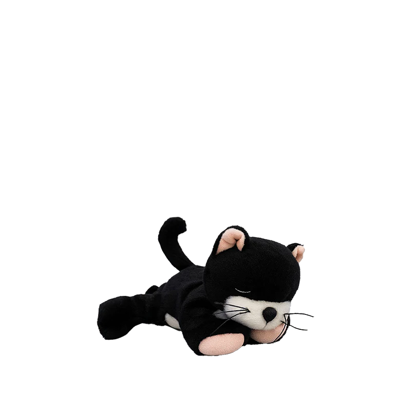 Binky Kitten Kit