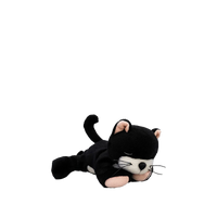 Binky Kitten Kit