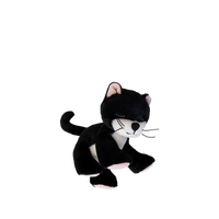 Binky Kitten Kit