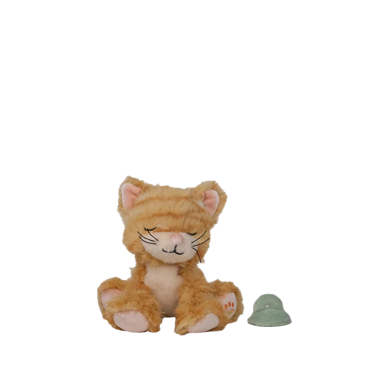 Binky Kitten Koda