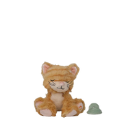 Binky Kitten Koda