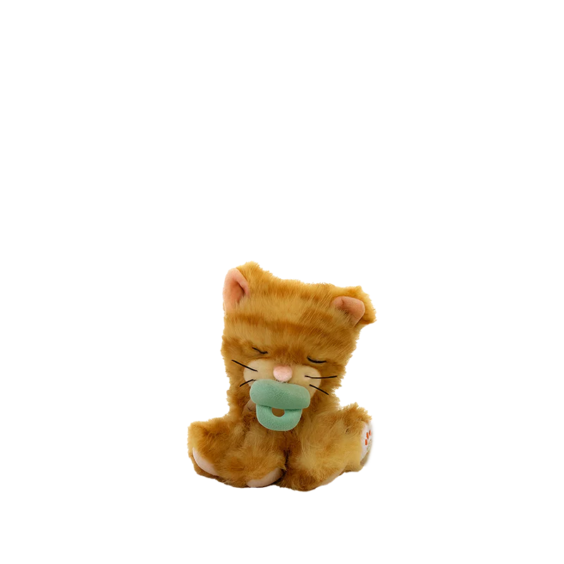 Binky Kitten Koda
