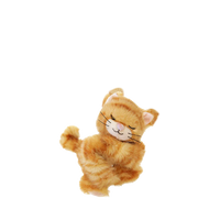 Binky Kitten Koda