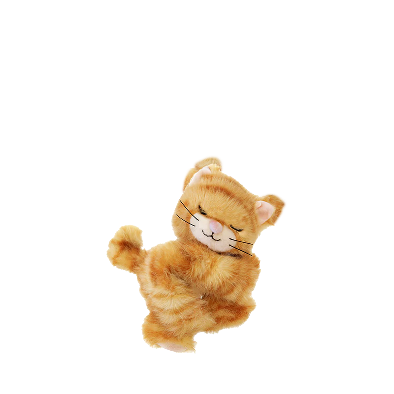 Binky Kitten Koda