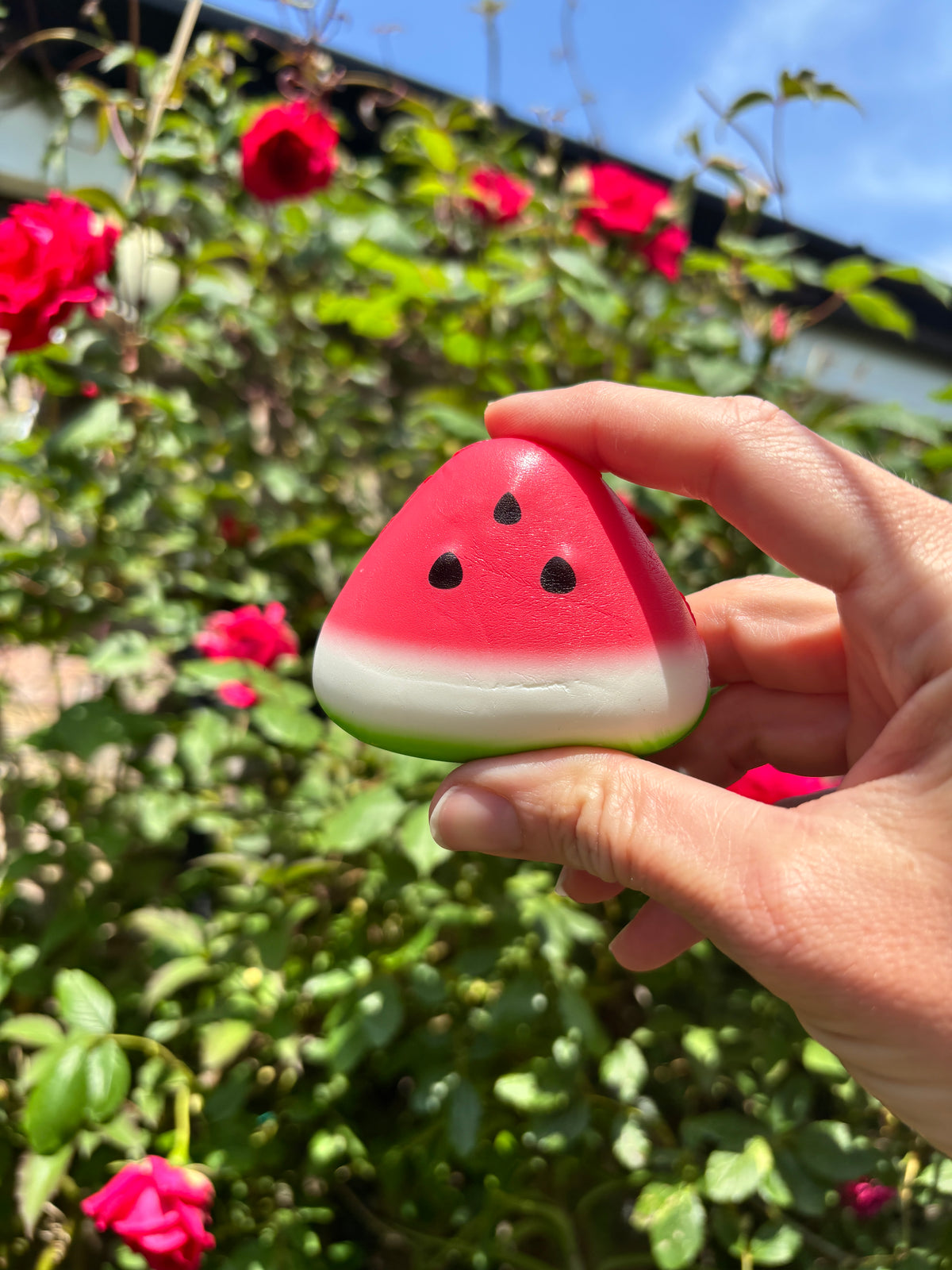 Watermelon Squishy Slow Rise 6cm