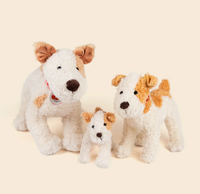 Egmont Eliot Terrier