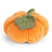 Bukowski Baby Pumpkin