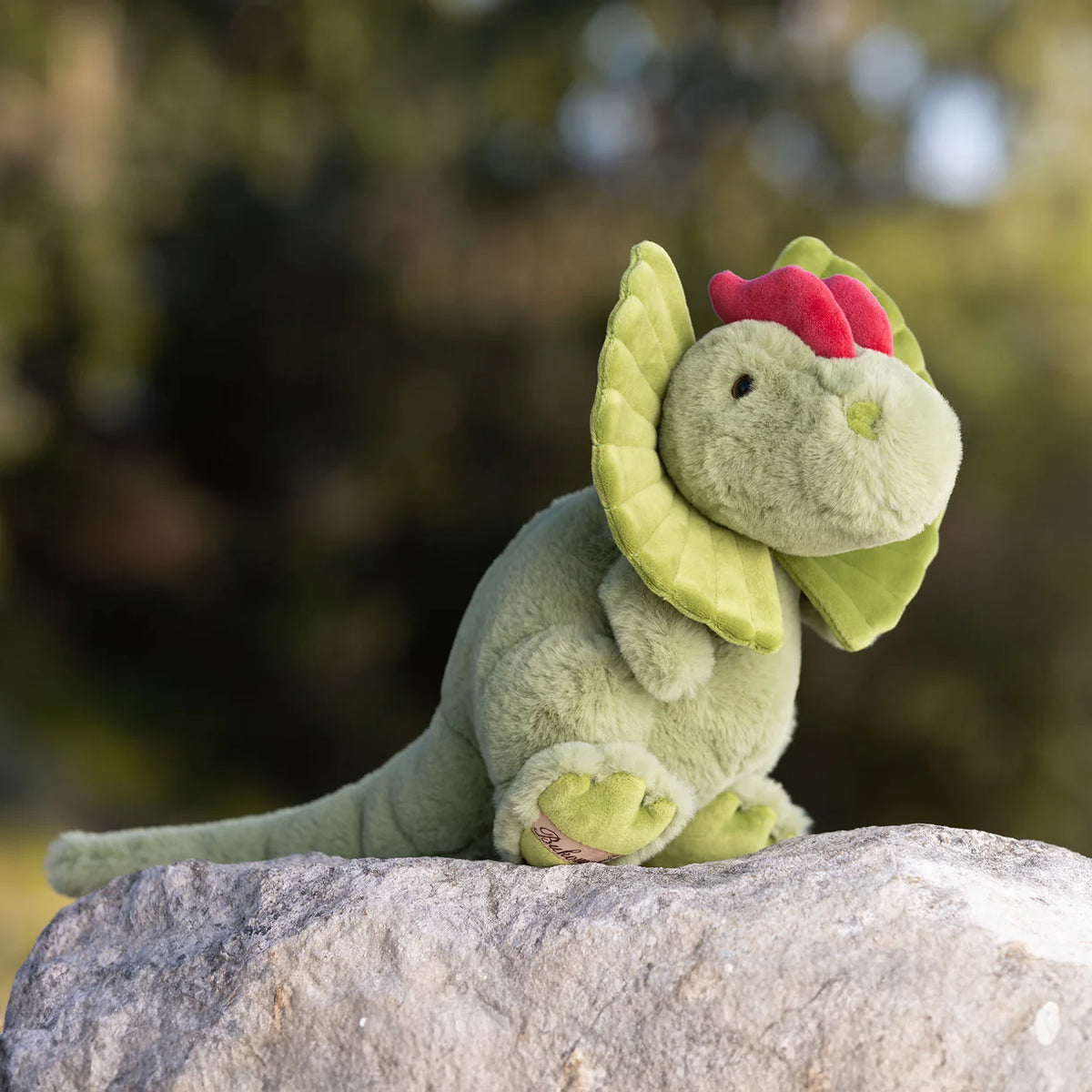 Bukowski Bears Dilo Dino