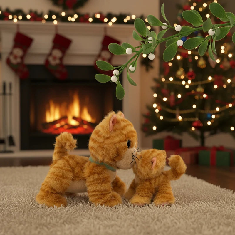 Binky Kitten Koda