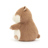 Gordy Guinea Pig max 1 per customer