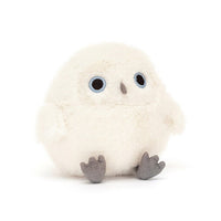 Snowy Owling max 1 per person
