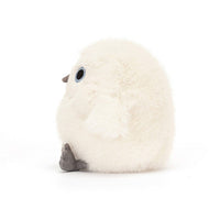 Snowy Owling max 1 per person