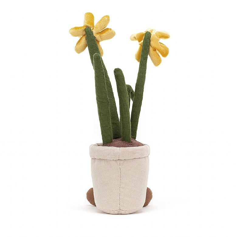 Amuseable Daffodil