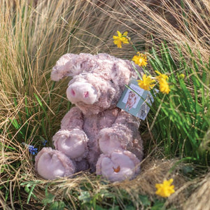 Vanessa Pig