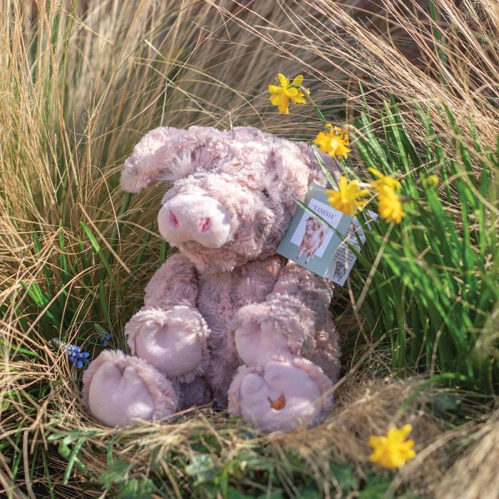 Vanessa Pig