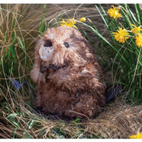 Chester Beaver