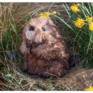 Chester Beaver