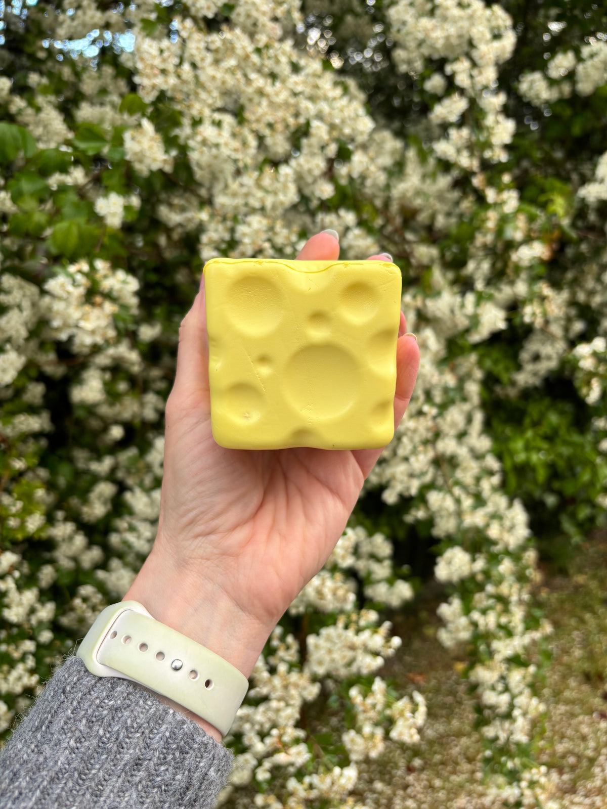 Large Cheese Square Squishy Slow Rise