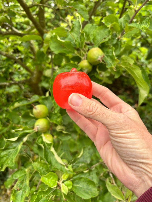 Squishy Apple Stress Toy