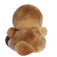 Palm Pals Patty Platypus