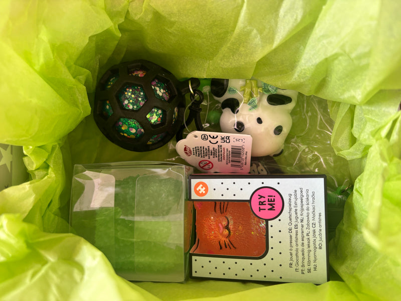 Squishy Mystery Suitcase