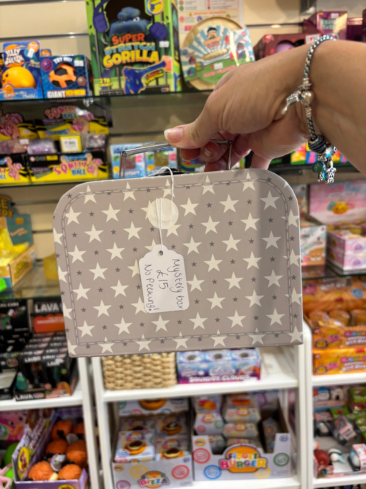 Squishy Mystery Suitcase