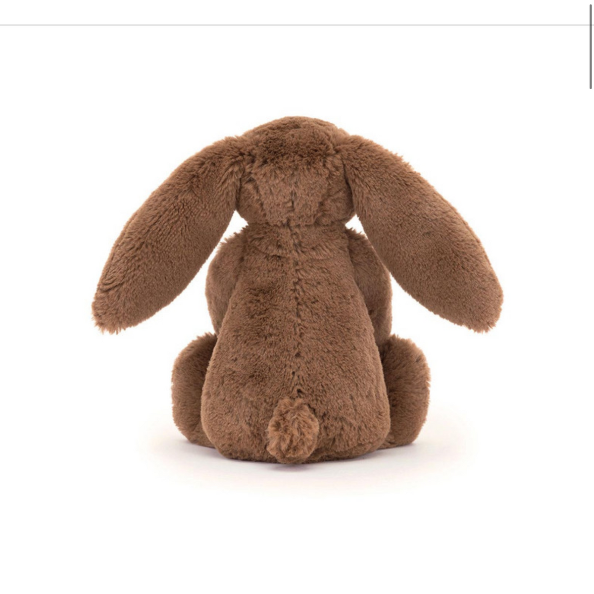 Bashful Nutmeg Bunny max 1 per customer