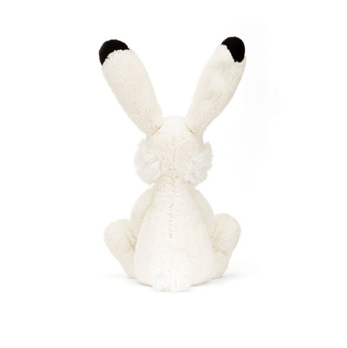 Arlo Hare