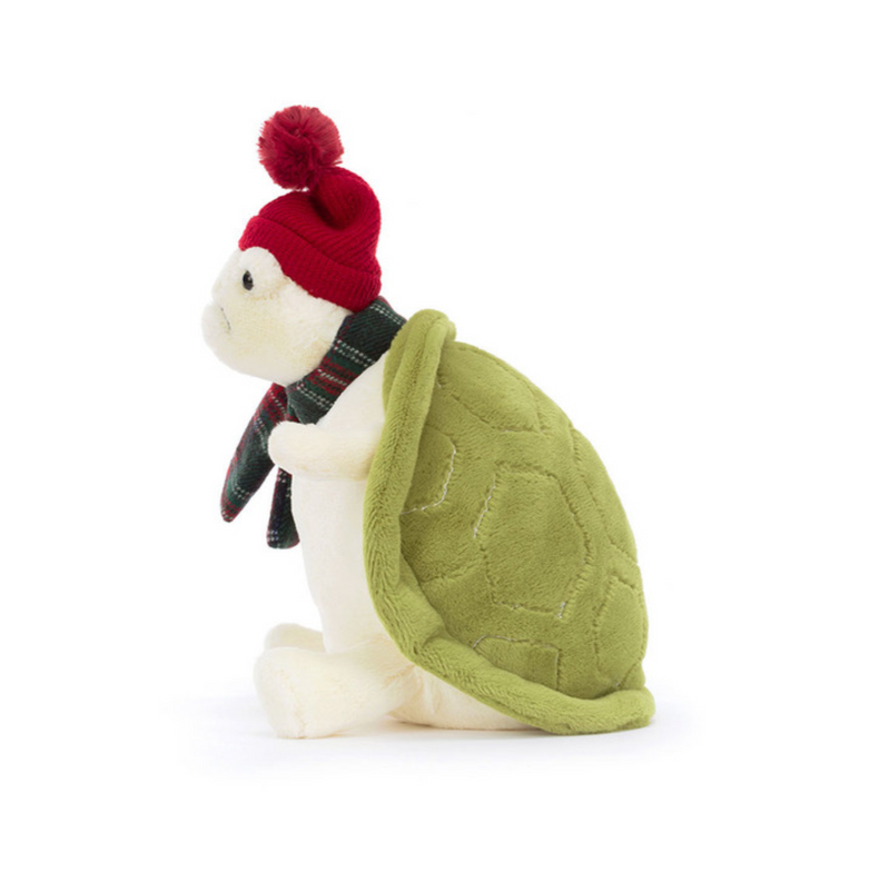 Snowman Timmy Turtle