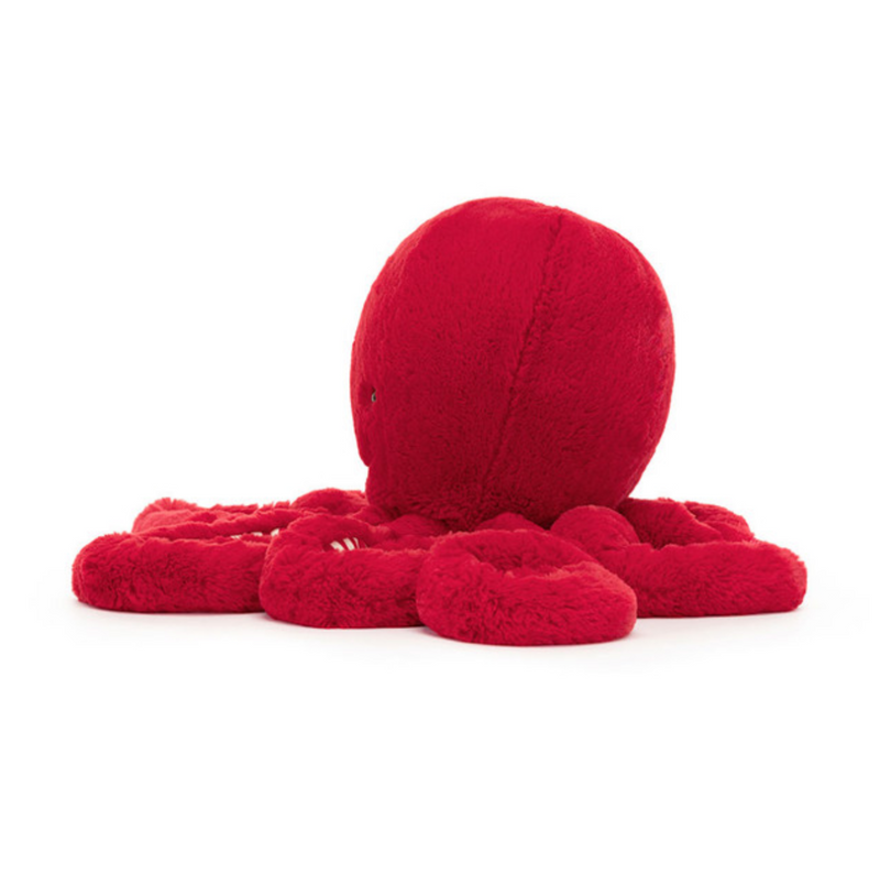 Cranberry Octopus