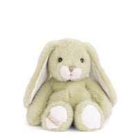 Bukowski Bears Jumpy Bunny Lime