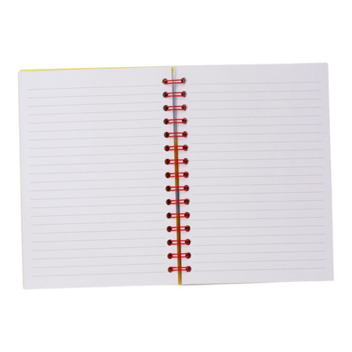 Snoopy and Woodstock A5 Notebook