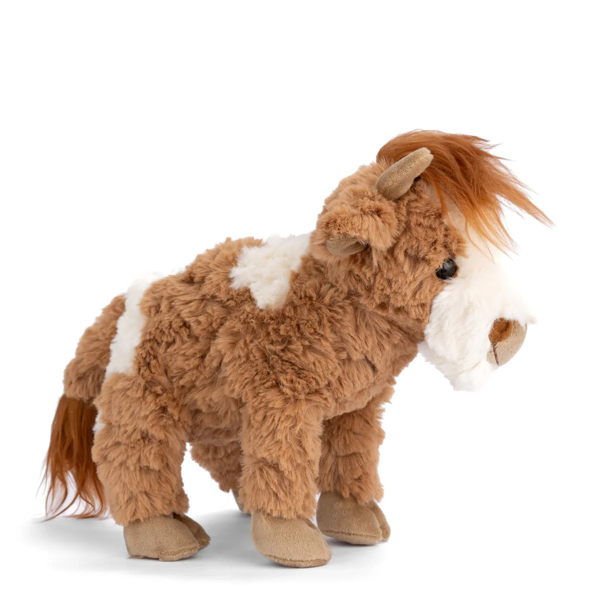 Bukowski Bears Madison