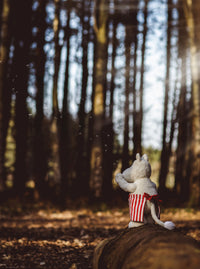 Moominmamma by Charlie Bears