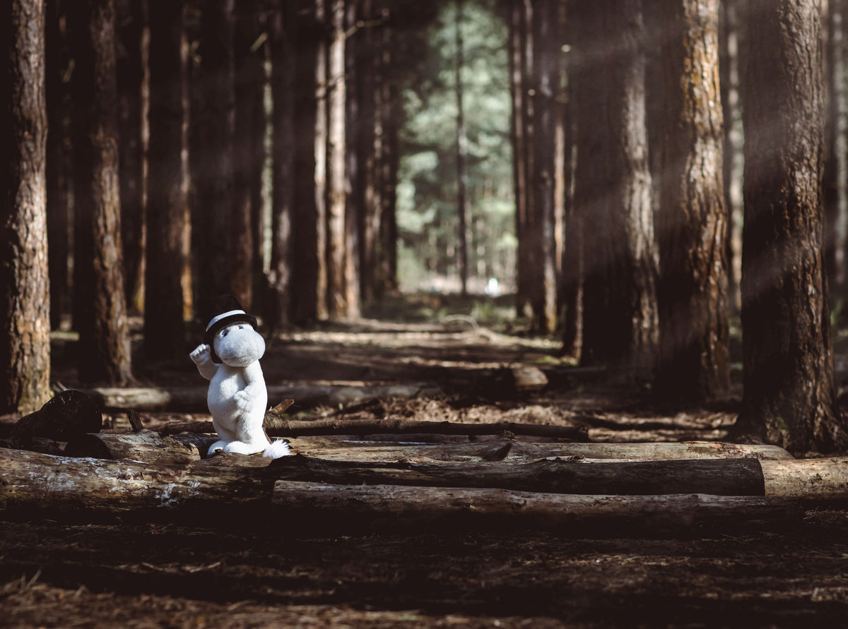Moominpappa by Charlie Bears