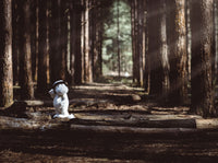 Moominpappa by Charlie Bears