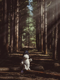Moominpappa by Charlie Bears