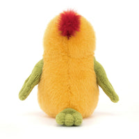 Budgeby Parrot One Per Person
