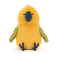 Budgeby Parrot One Per Person