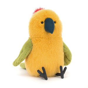 Budgeby Parrot One Per Person