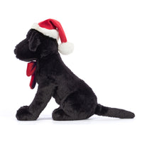 Winter Warmer Pippa Black Labrador max 1 per customer