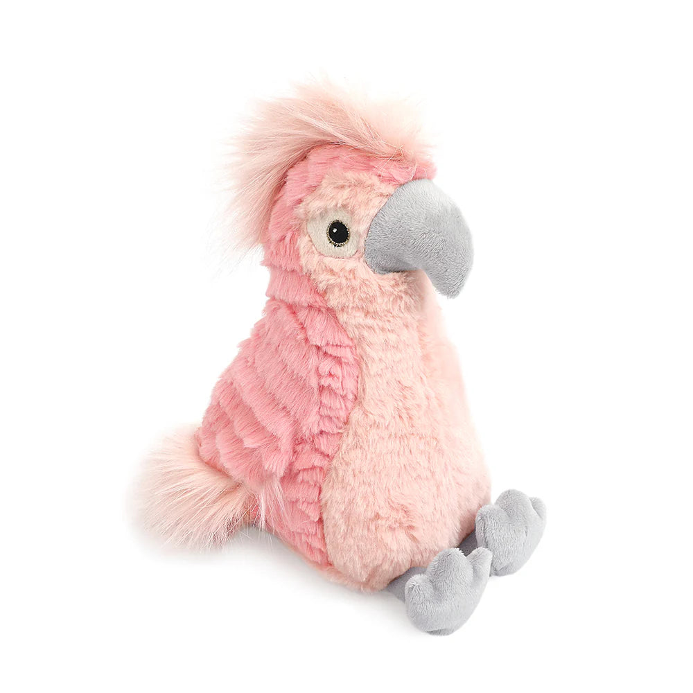 Lulu Cockatoo