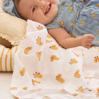Mayoral Duck Swaddle